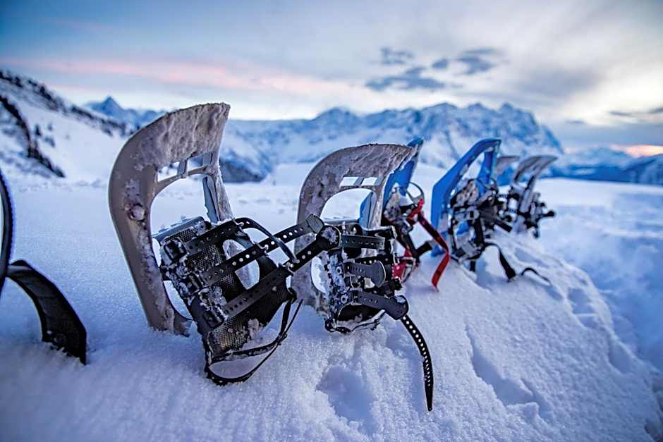 Parkhotel Du Sauvage