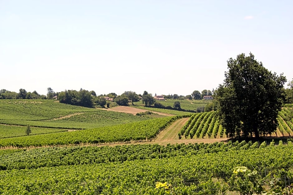 Les charmes de Vincent - le loft Cabernet