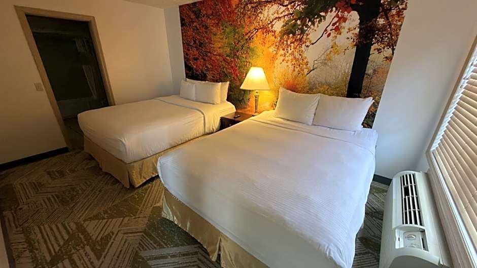 Zdjęcie 1 z 5 — Deluxe 1 Bedroom 2 Queen Beds Suite