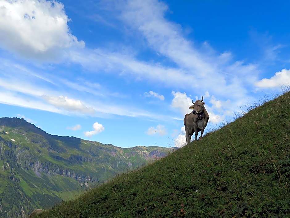 Aktivhostel HängeMatt