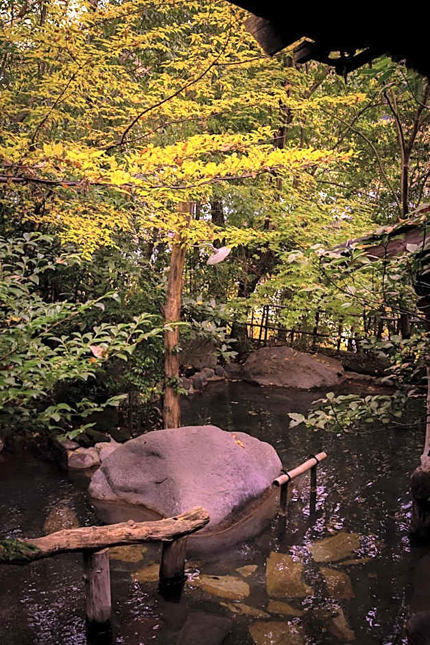 Kurokawa Onsen Oyado Noshiyu