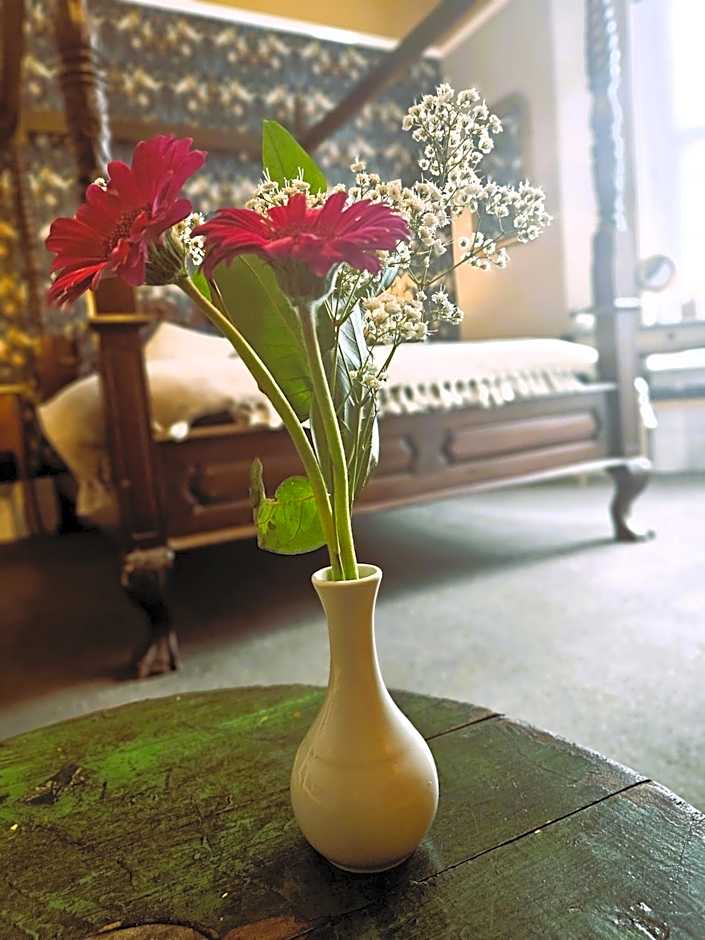 Ashburton House - B&B