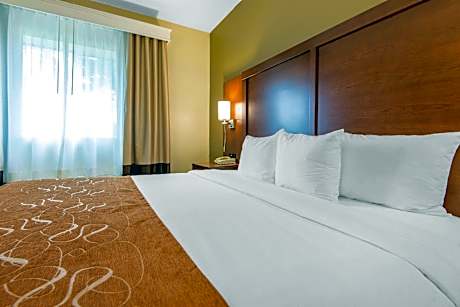 1 King Bed, Suite, Nonsmoking