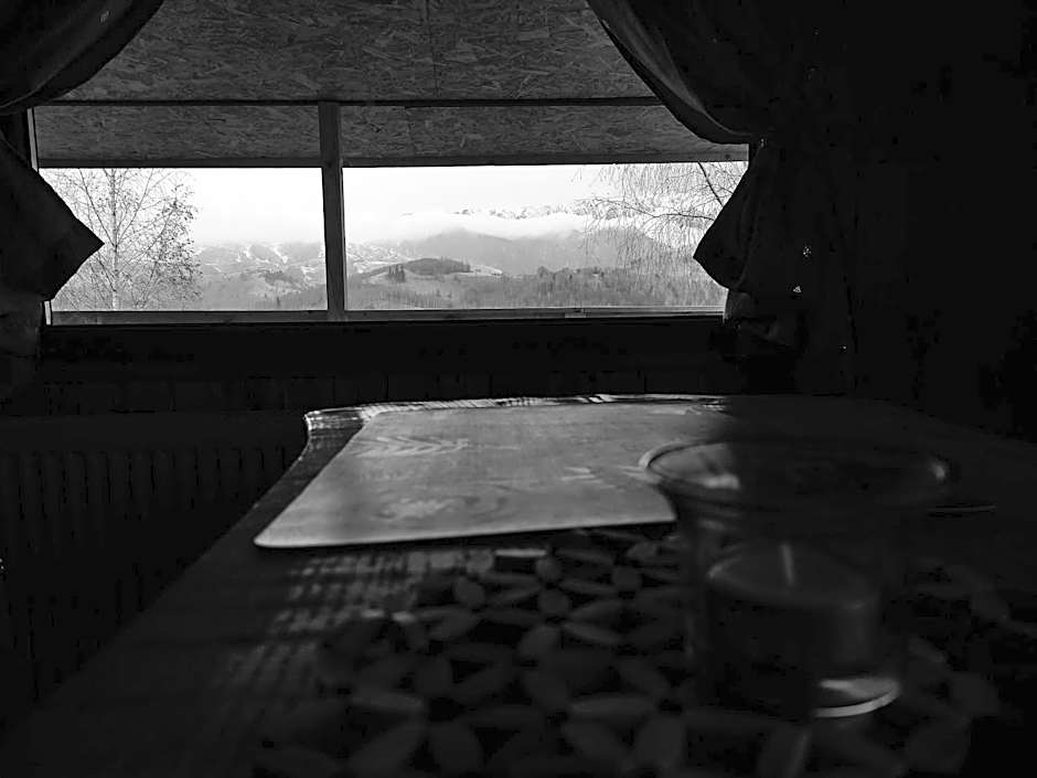 Cabana doi mesteceni