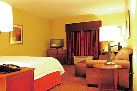 1 King Bed Nonsmoking