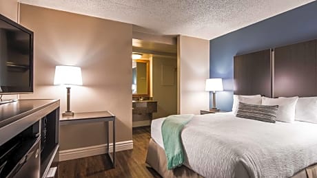 Non-Pet, 1 King Bed, Balcony, River View, Oversize Room