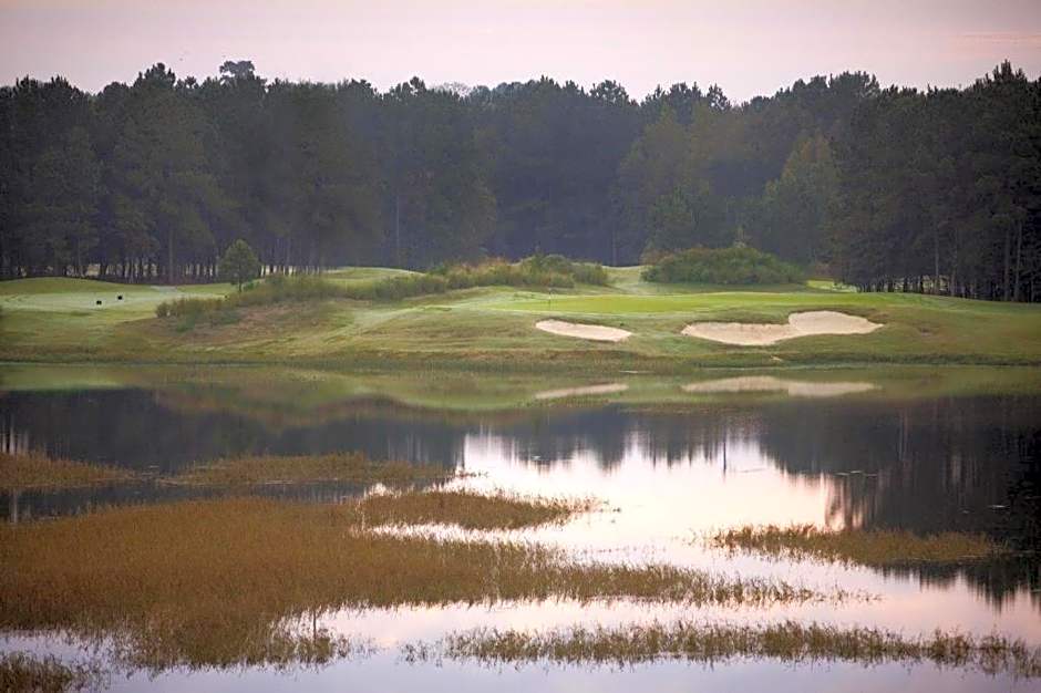 Hampton Inn By Hilton And Suites Savannah-Airport