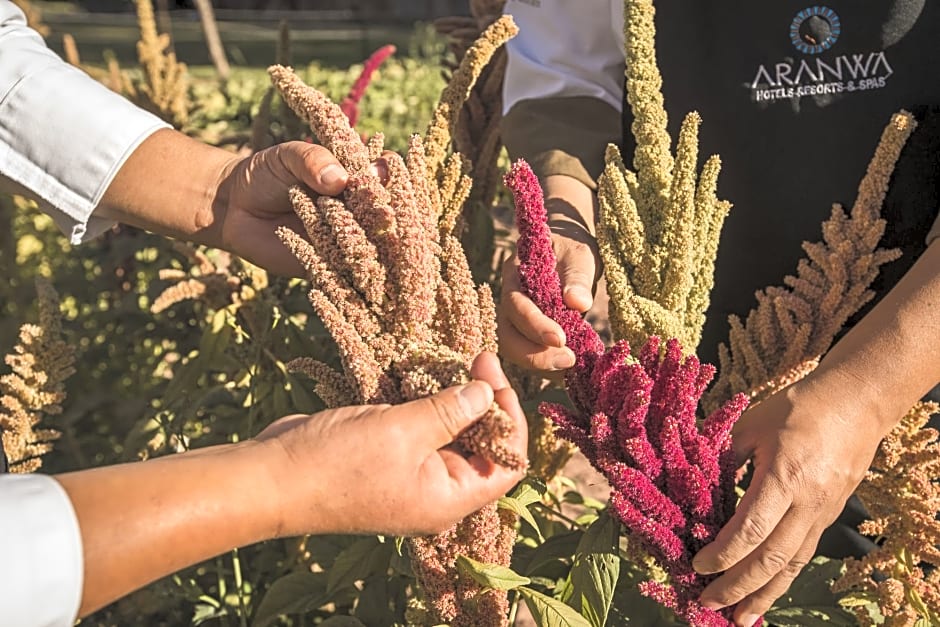 Aranwa Sacred Valley