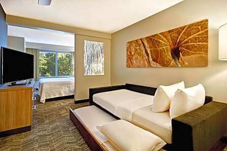 King Suite with Sofa Bed