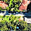 Pousada Villa Cumuru