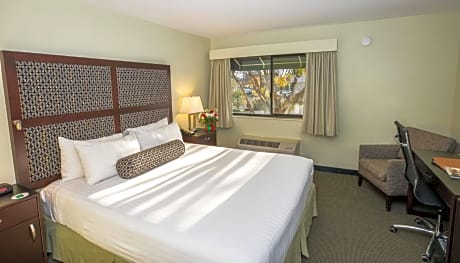 Queen Room - Disability Access