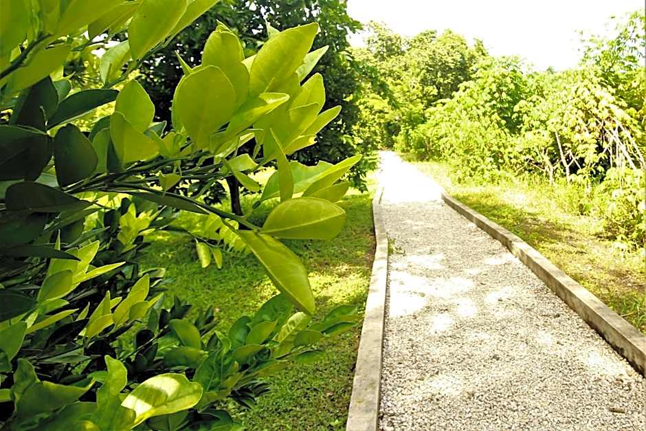 Cabañas Kin Balam Palenque