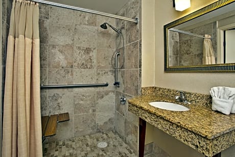 King Room - Disability Acces Roll in Shower