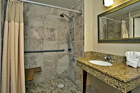King Room - Disability Access Roll in Shower