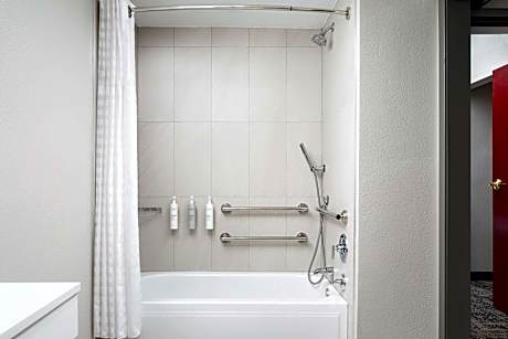 2 Queens Premium Wellness Mobility Access Tub