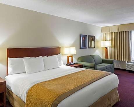 King Room with Sofa Bed