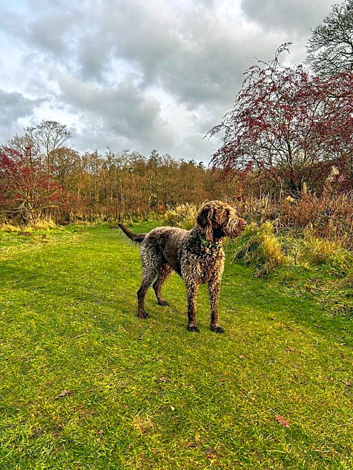 Apartments at The Black