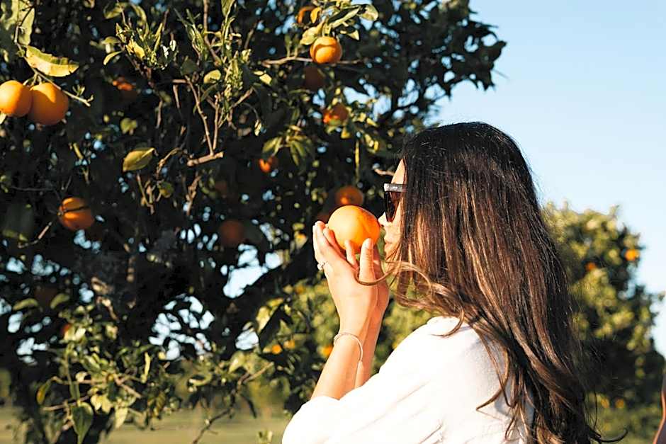 Quinta da Luz - A Luxury Boutique B&B