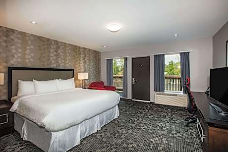 1 King Bed Deluxe Room Lake Side Non-Smoking