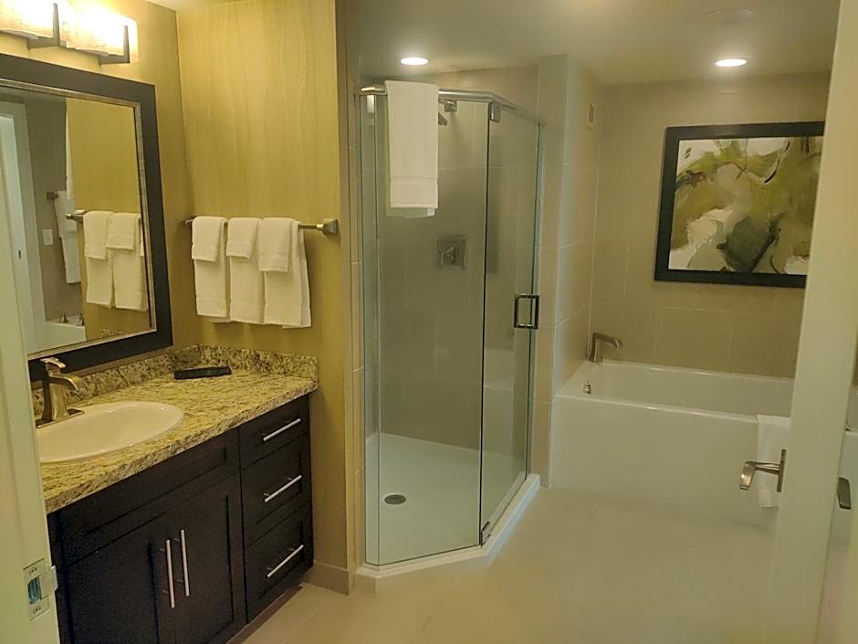 1 bedroom condo F1 / Superbowl Availability