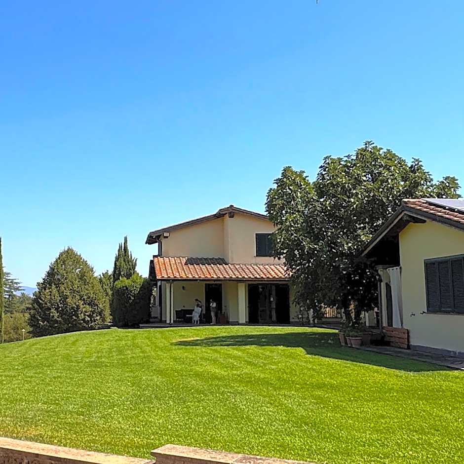 Oasi Del Verde