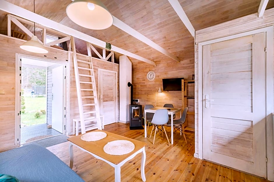 Domki w Dolinie Wieżycy