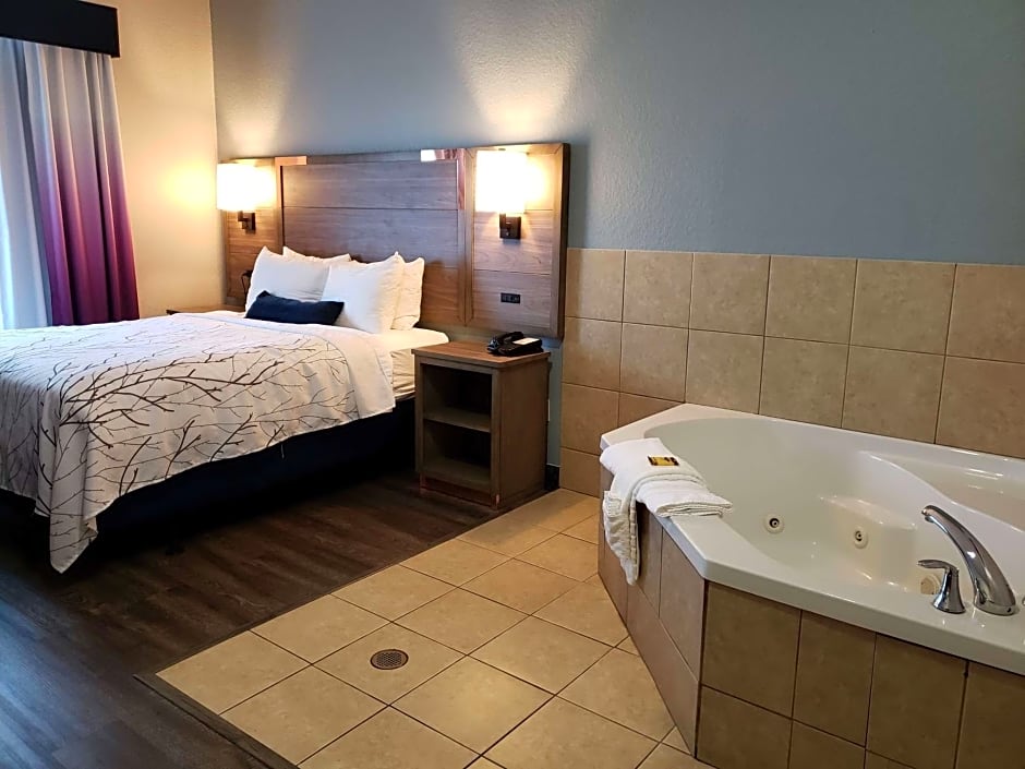 Best Western Plus San Antonio East Inn & Suites