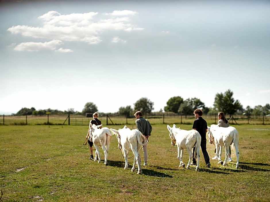 St. Martins Therme & Lodge