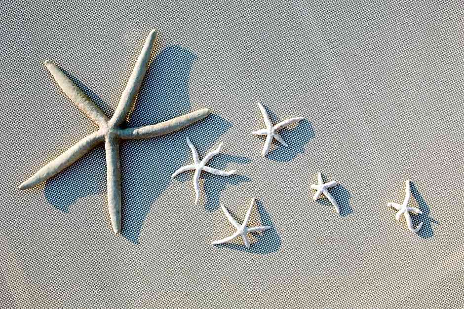 Hotel Europa Lignano