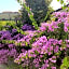 B&B Villa la Bouganville