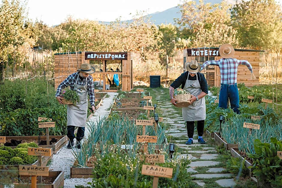 Epirus Palace Congress & Spa