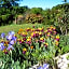 B&B La Cigaline