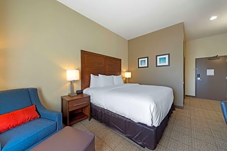 1 King Bed, Suite, Nonsmoking