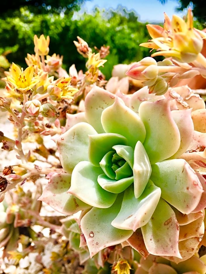 Quinta Quatro Ventos