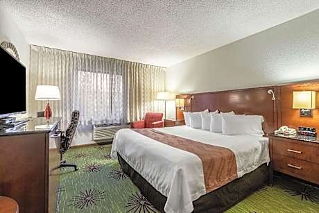 1 King Bed, Nonsmoking