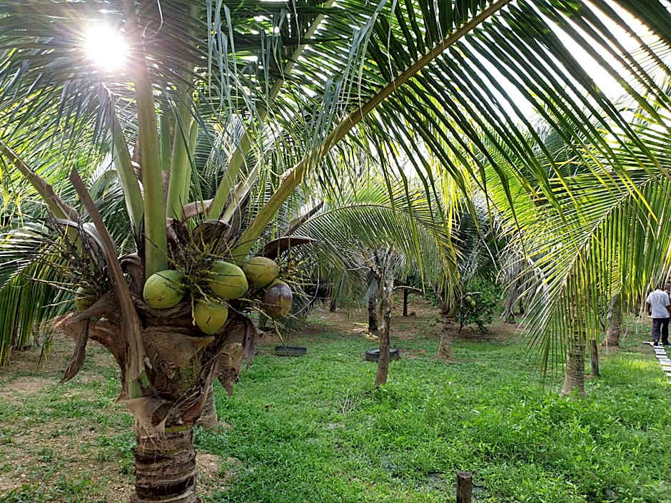 Baan Suan Coconut Ko Yao Noi