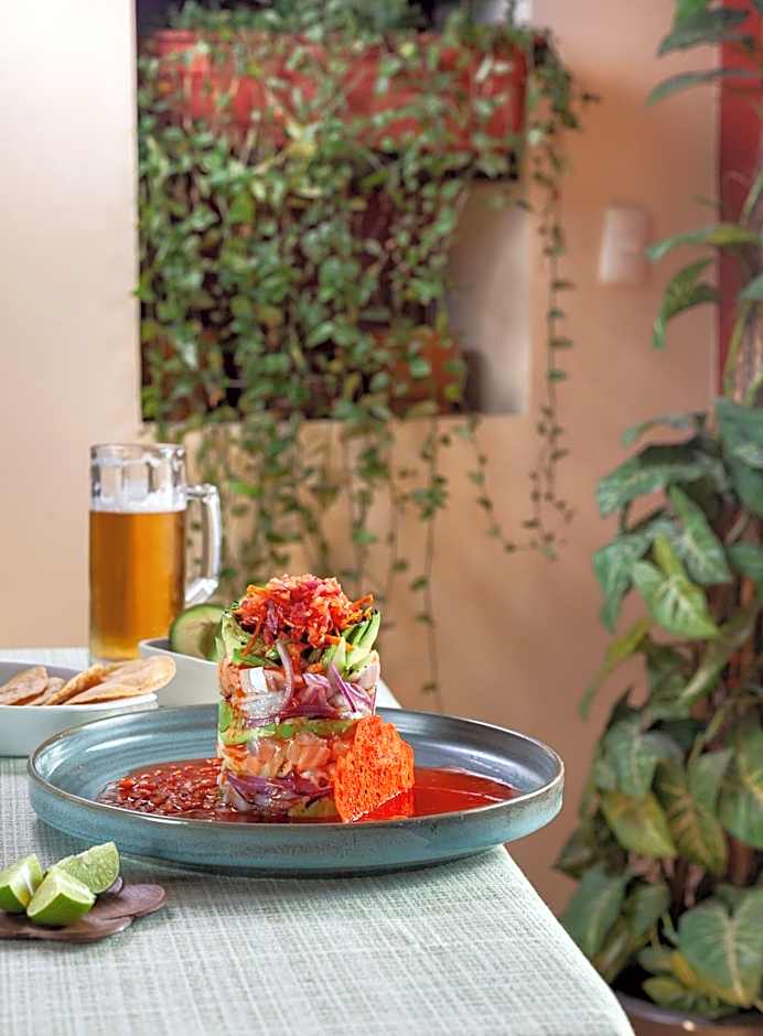 Hotel Plaza San Carlos