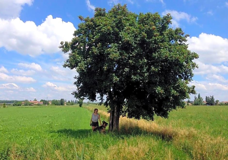 B&B Antica cascina