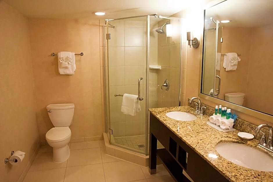 Holiday Inn Express Baltimore BWI Airport West By IHG