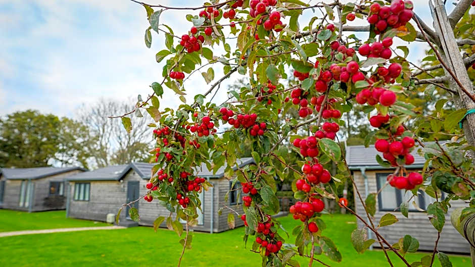 Warren Wood Country Park