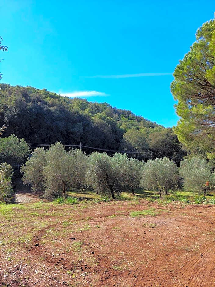 Agriturismo Paradisa