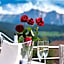 Sonnenhotel Adler Spa & Nature Adults only