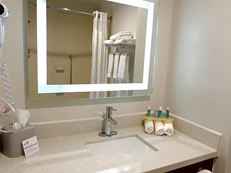 1 King Bed Suite