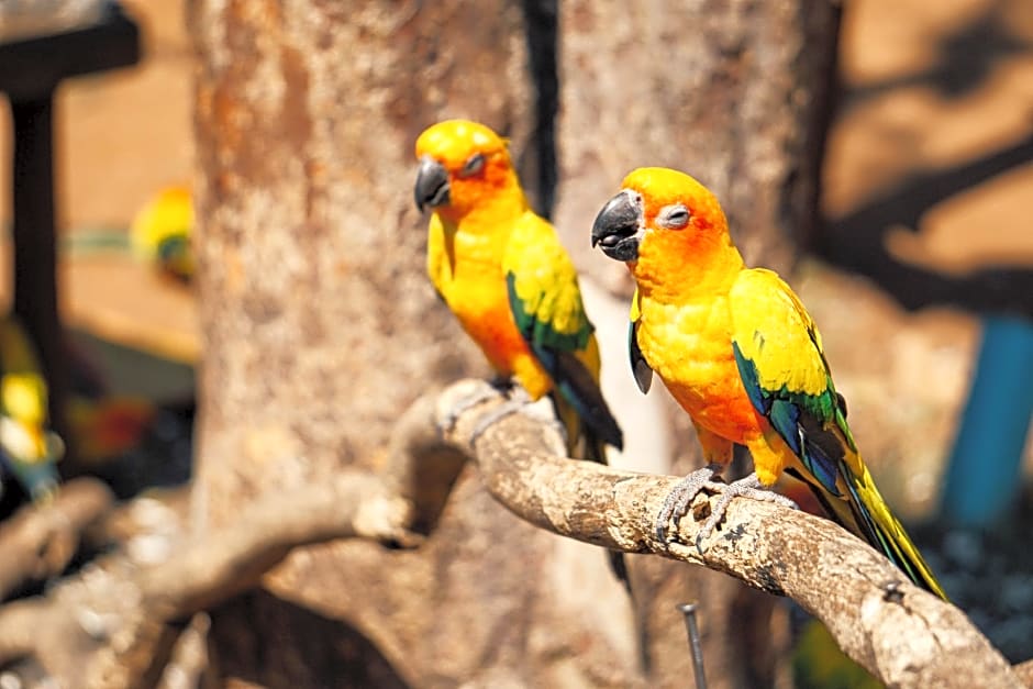 Aob-Oun Homestay & Glamping