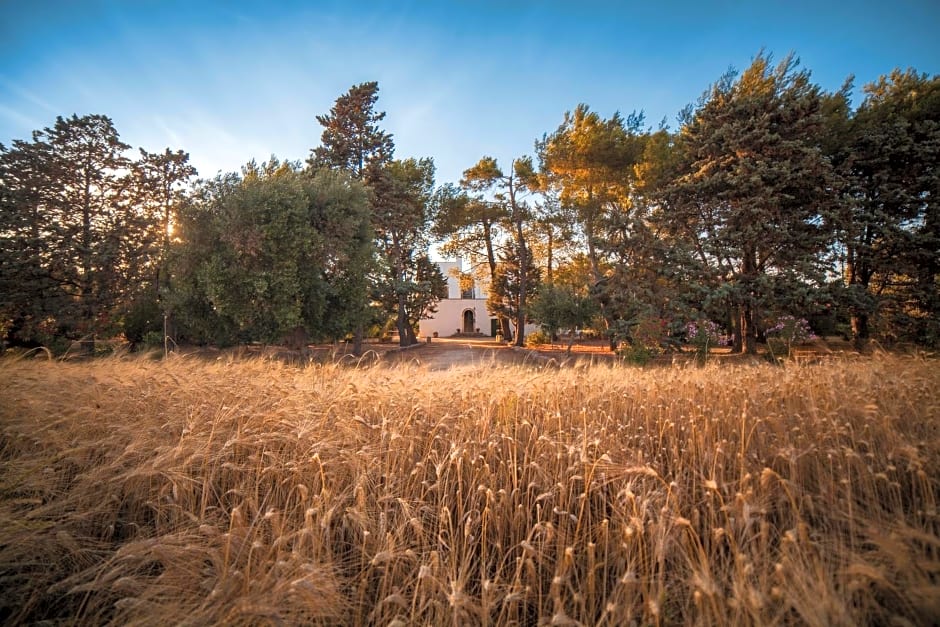 Masseria Fracchicchi
