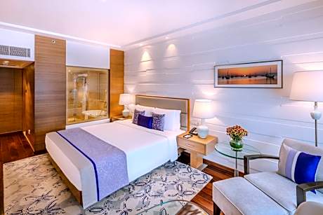 Deluxe Suite City View King Bed