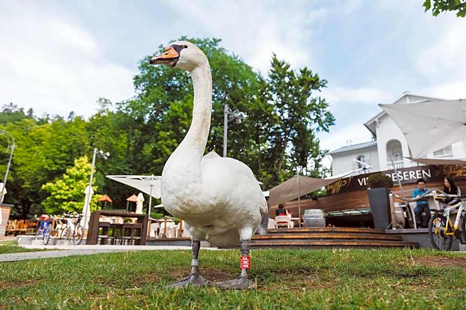 Penzion Vila Prešeren