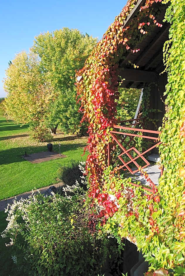 Domaine de L'Arbrelle