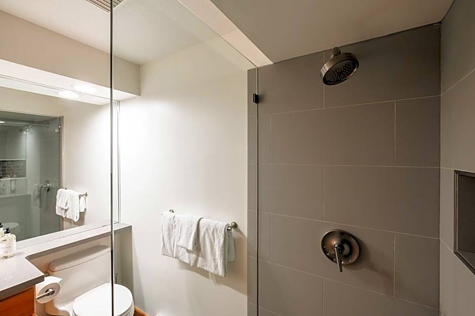 Forest Trails by Outpost Whistler