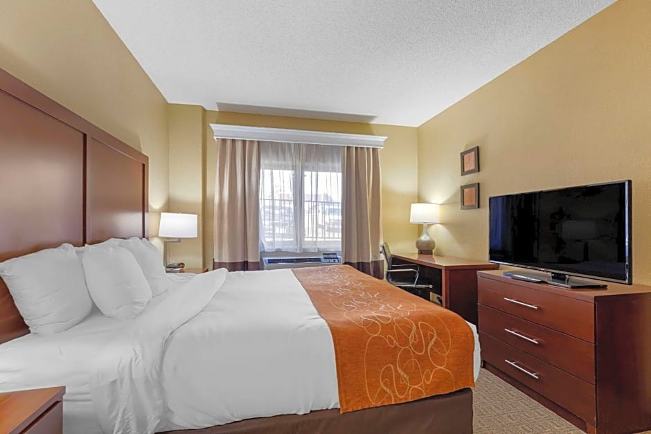 Comfort Suites Lakewood - Denver